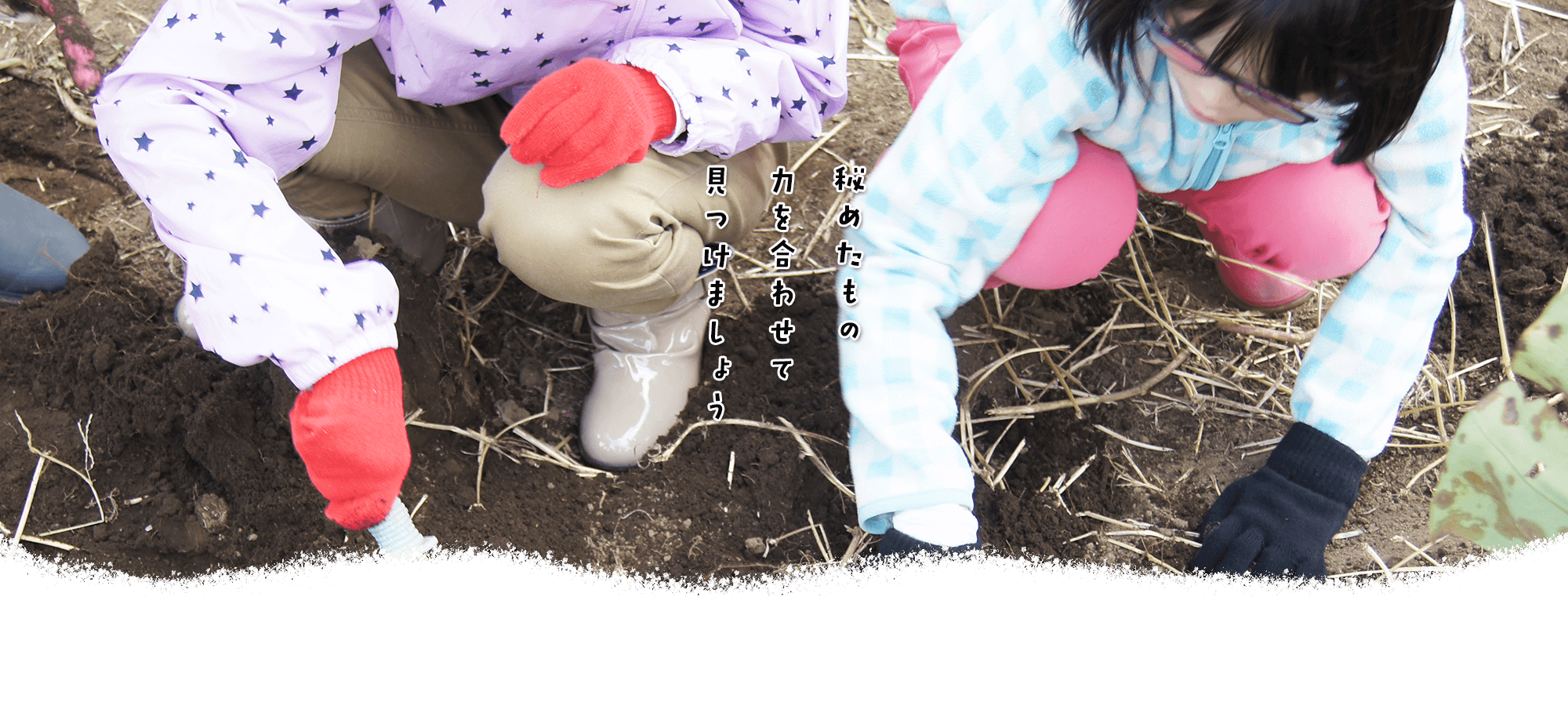 株式会社ポラリス